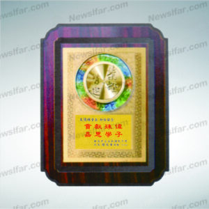 榮耀獎牌AA-031