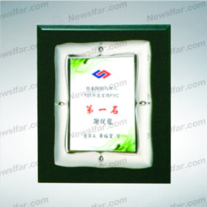 榮耀獎牌AA-045