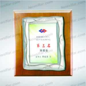 榮耀獎牌AA-046
