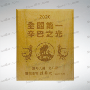 榮耀獎牌AA-122