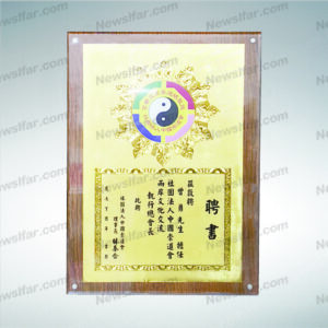 榮耀獎牌AA-124