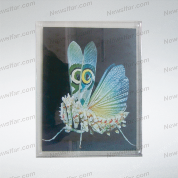 AB-038 榮耀獎牌AB-038
